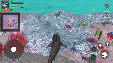 饥饿鲨鱼求生[图4]