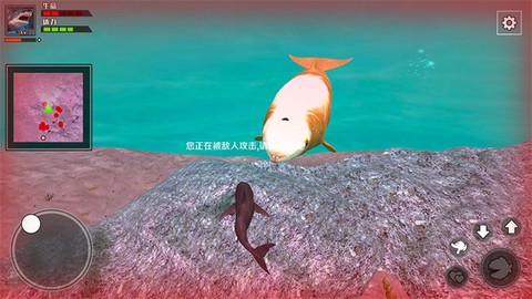 饥饿鲨鱼求生图1