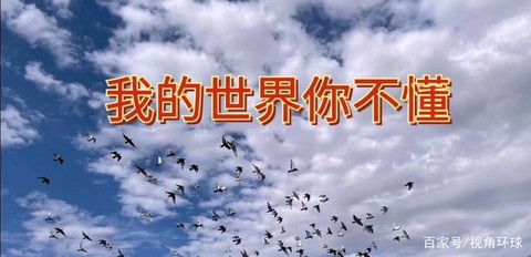 反正我的世界你永远不懂是什么歌[图2]