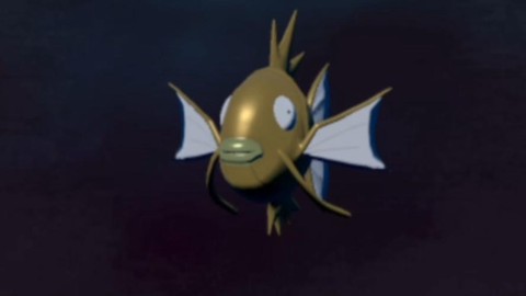 口袋妖怪复刻鲤鱼王什么性格好