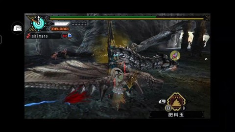 怪物猎人p3达人是什么