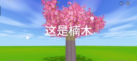 迷你世界怎么找楠木