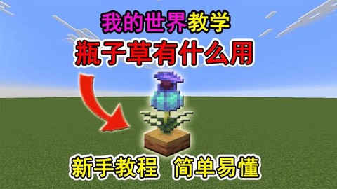 我的世界草有什么用[图2]
