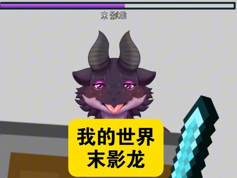 我的世界未影龙怎么骑