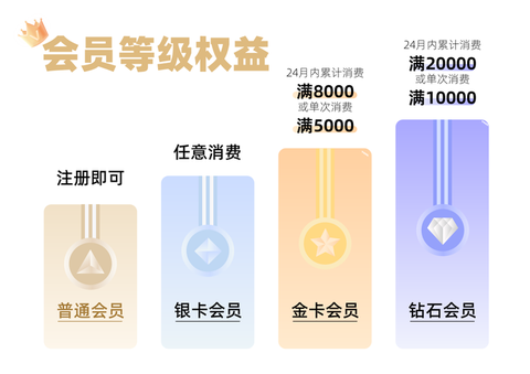 永恒纪元怎么看vip