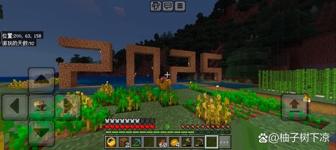 我的世界怎么玩多人模式[图2]