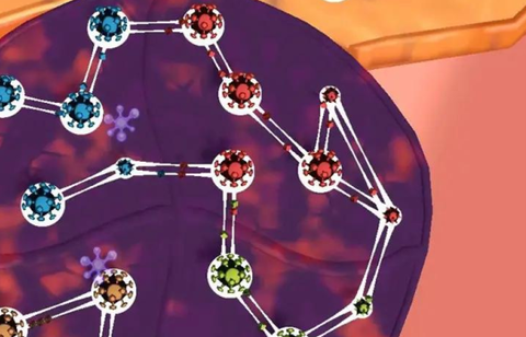 人体细胞连接[图2]