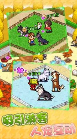 发现狗狗乐园图1