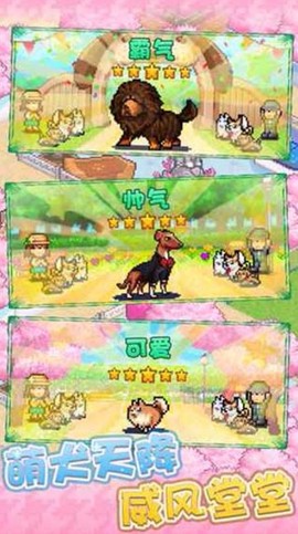 发现狗狗乐园图2