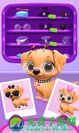 公主宠物小猫咪图2