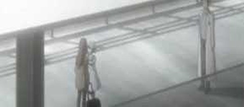 命运石之门[图4]