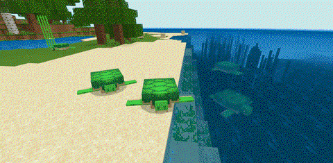 我的世界海龟吃什么食物