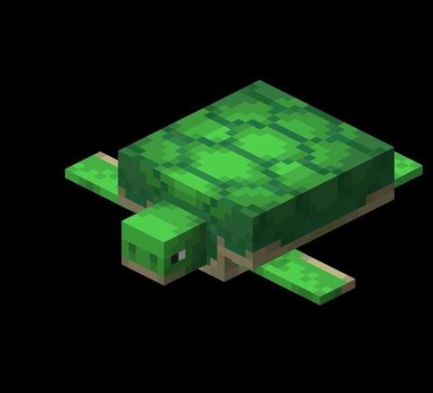 我的世界海龟有什么用[图2]