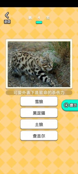 开心动物农场图3