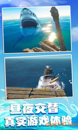 海洋生存挑战[图1]