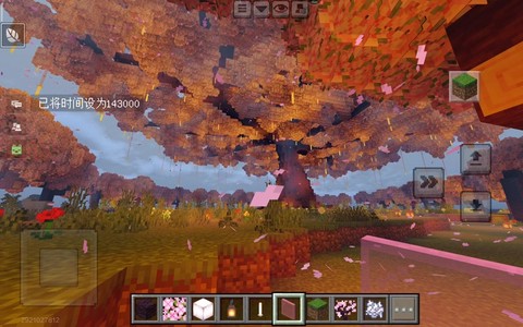 我的世界彩虹树怎么种