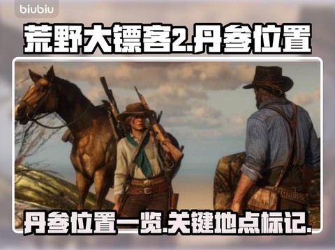 荒野大镖客怎么对决[图2]