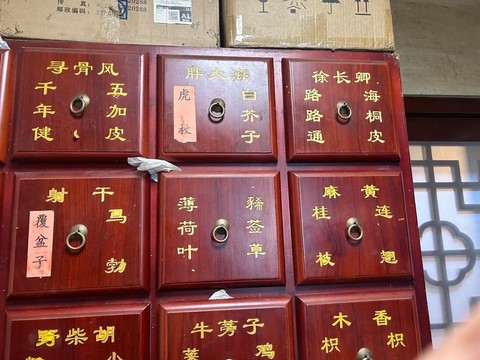 仙剑奇侠传4用什么药[图1]