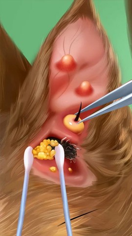 疯狂医院:达什医生图3