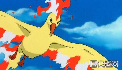 口袋妖怪火焰鸟怎么抓