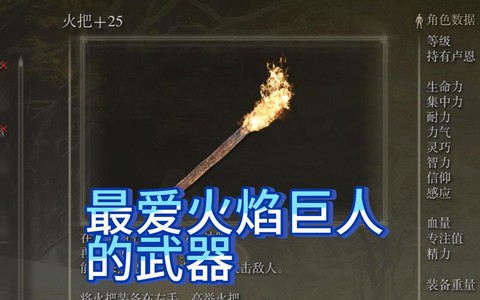 怪物猎人火把有什么用[图2]