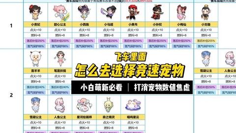 qq飞车什么开宠物