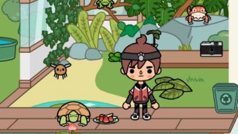 托卡宝卡小家[图1]