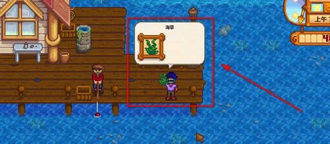 星露谷物语怎么海草[图1]