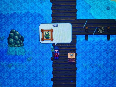 星露谷物语怎么海草[图2]