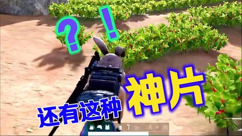 绝地大逃亡怎么自动跑