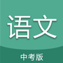 中考语文通