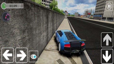 专业竞速车手图3