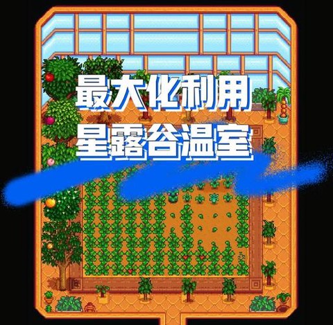 星露谷物语温室怎么开[图1]