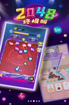 2048终极版图1