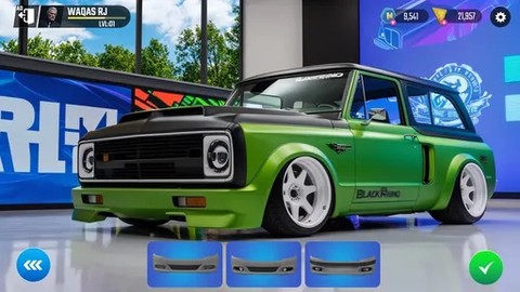 我的定制汽车图2