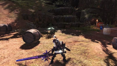 怪物猎人ol什么武器