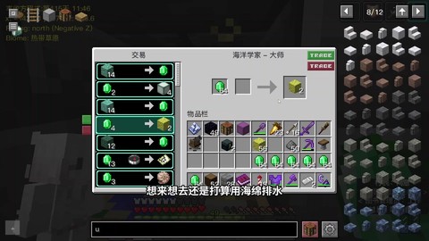 我的世界绿宝石怎么用[图2]