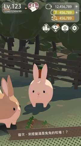 兔子可爱了2图3