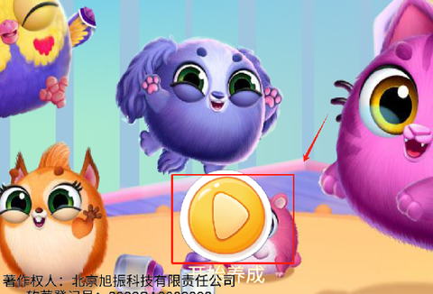 我的宠物总动员[图1]