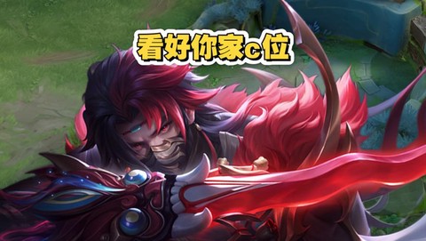 王者荣耀什么是抓人