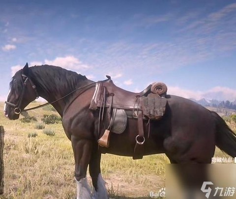 荒野大镖客2什么马最好