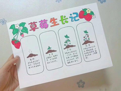 迷你世界仙人掌怎么种[图2]