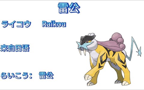 口袋妖怪怎么抓雷公[图2]