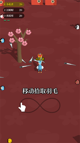 孔雀拔毛大赛[图1]