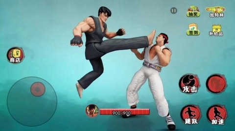 散打武术模拟图2