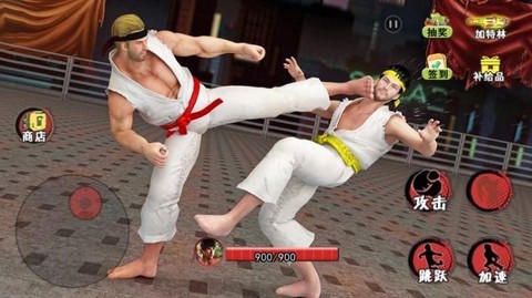 散打武术模拟图3