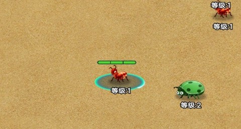 昆虫大冒险[图1]