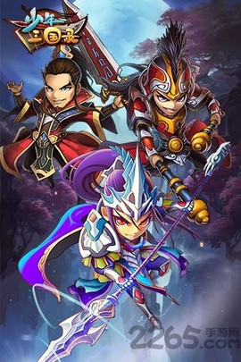 少年三国录[图1]