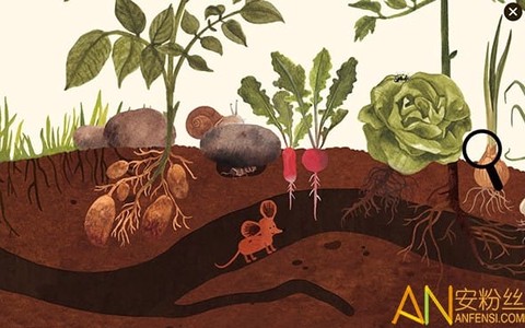 小棕鼠的自然生态百科[图1]