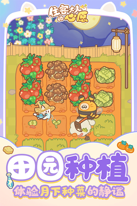 住客大人的心愿图1